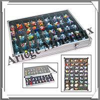VITRINE d'EXPOSITION en ALUMINIUM - 45 Cases - Profondeur : 40 mm  (5877)