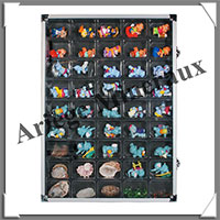VITRINE d'EXPOSITION en ALUMINIUM - 45 Cases - Profondeur : 40 mm  (5877)