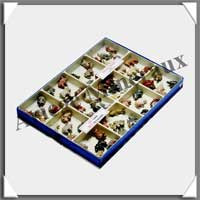 COLLEC'BOX - 12 Cases (9412)