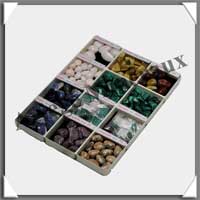 ALVEOLE MOBILE - 12 Cases (9512)